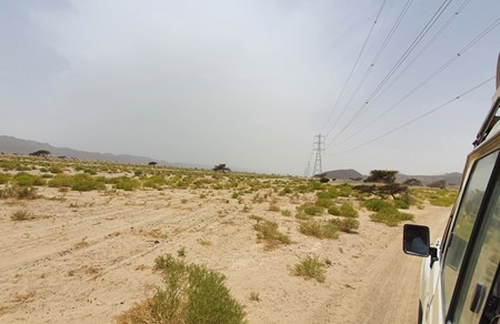 photo of Wadi Al Gemal Desert Safari 